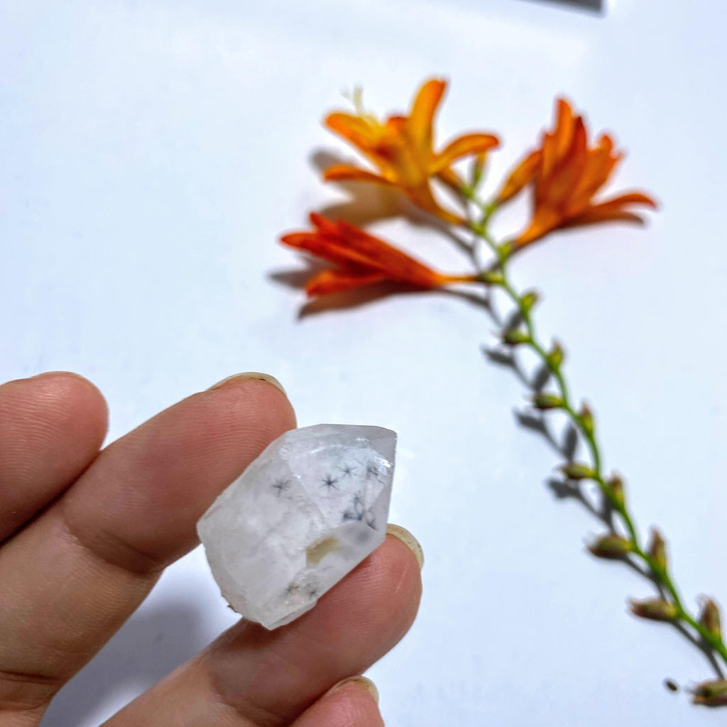 Rare & Unusual Star Hollandite Dainty Specimen ~Locality Madagascar #2 - Earth Family Crystals