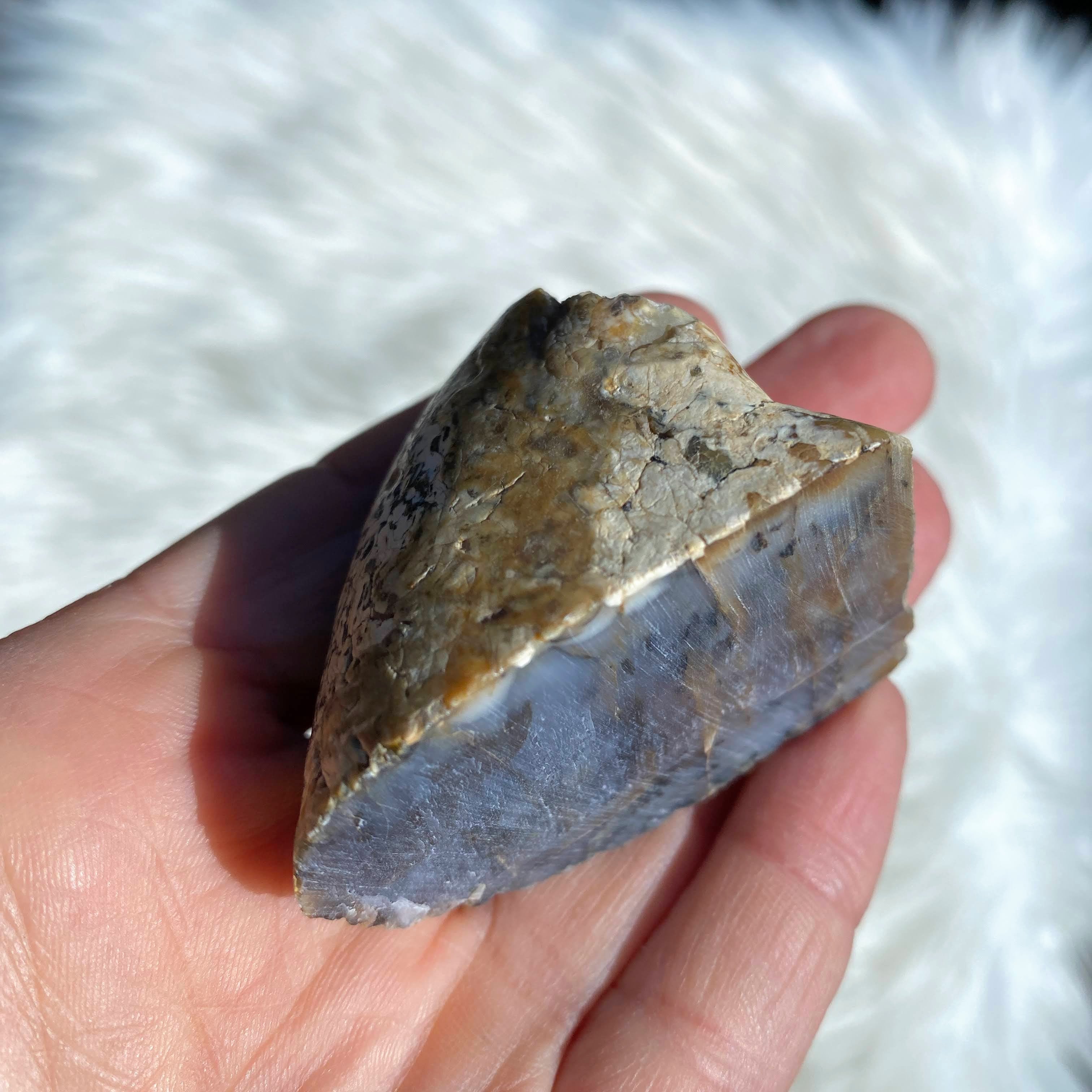 Australian Dendritic Agate Natural Freeform Specimen - Earth Family Crystals