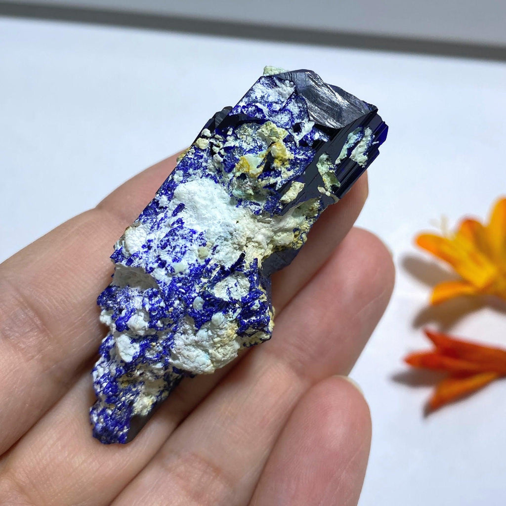 Amazing & Rare Deep Blue Azurite Crystal Cluster From Milpillas Mine, Mexico - Earth Family Crystals