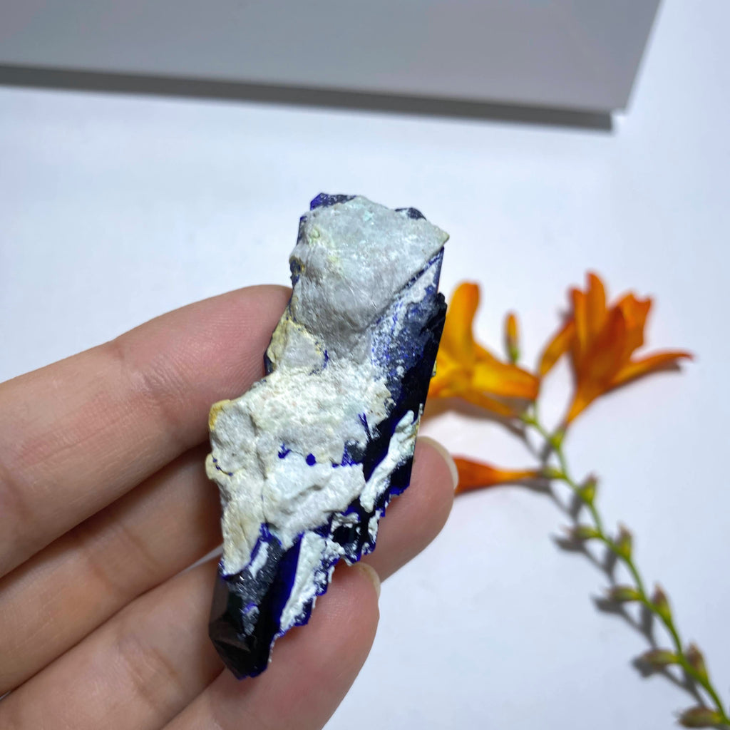 Amazing & Rare Deep Blue Azurite Crystal Cluster From Milpillas Mine, Mexico - Earth Family Crystals