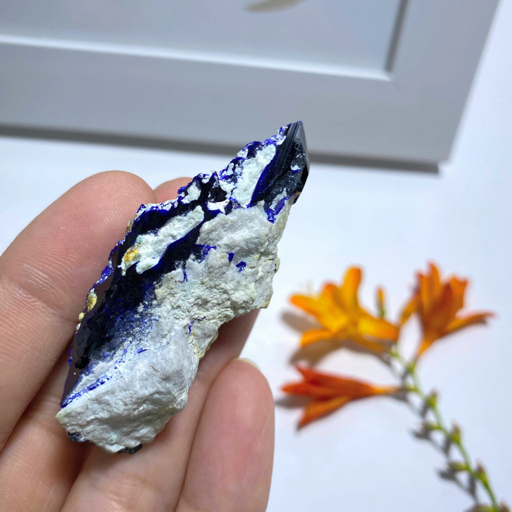 Amazing & Rare Deep Blue Azurite Crystal Cluster From Milpillas Mine, Mexico - Earth Family Crystals