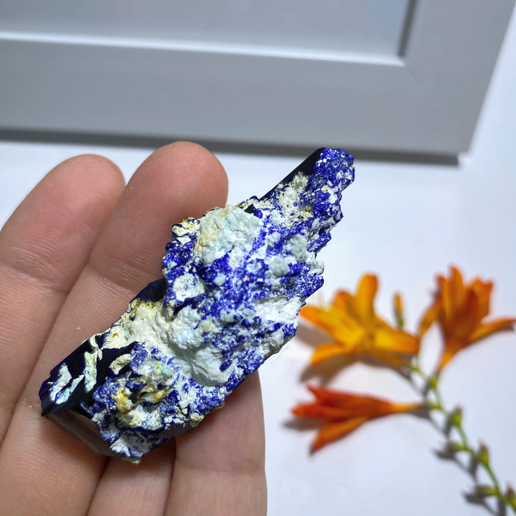 Amazing & Rare Deep Blue Azurite Crystal Cluster From Milpillas Mine, Mexico - Earth Family Crystals