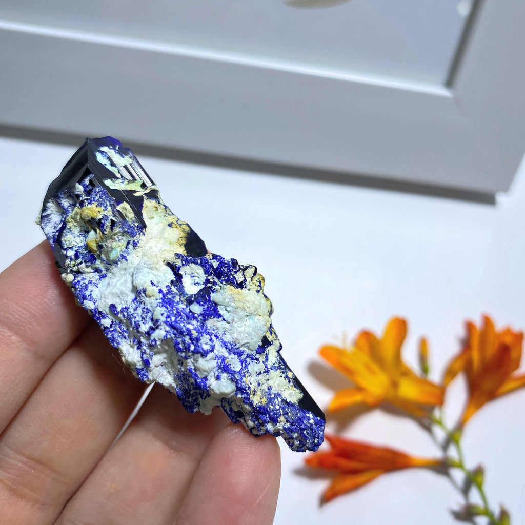 Amazing & Rare Deep Blue Azurite Crystal Cluster From Milpillas Mine, Mexico - Earth Family Crystals