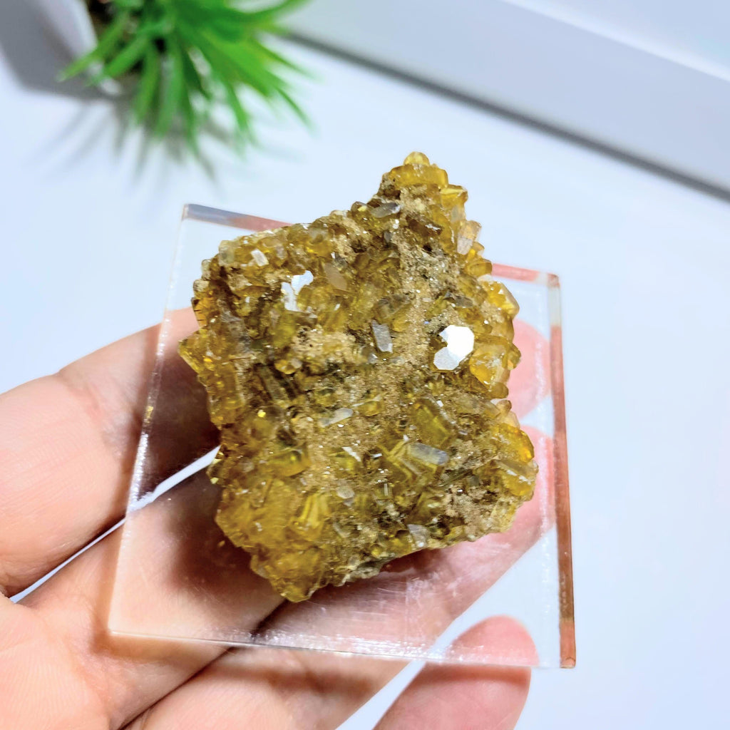 Rare Colorado Locale~ Golden Barite Natural Display Specimen on Stand - Earth Family Crystals