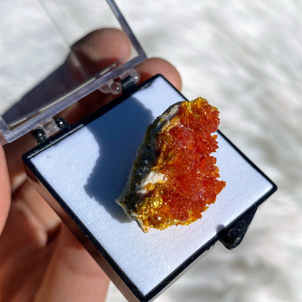 Copy of Rare! Vibrant Orange Orpiment Specimen In Collectors Box #2 - Earth Family Crystals