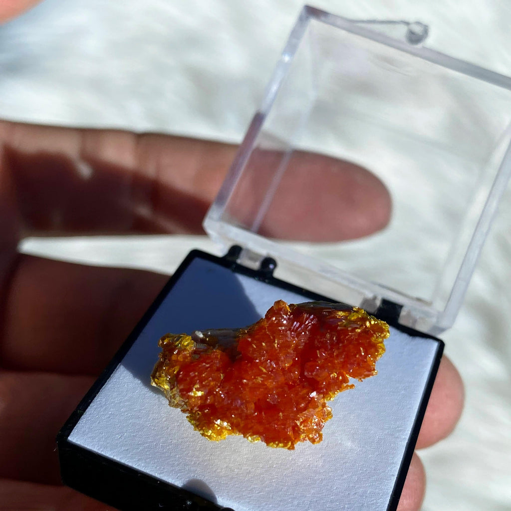 Copy of Rare! Vibrant Orange Orpiment Specimen In Collectors Box #2 - Earth Family Crystals