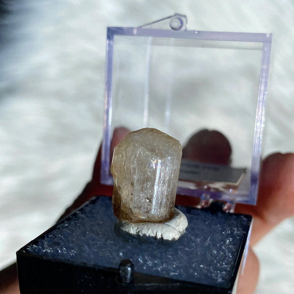 Rare Scapolite in Collectors box from Myanmar - Earth Family Crystals