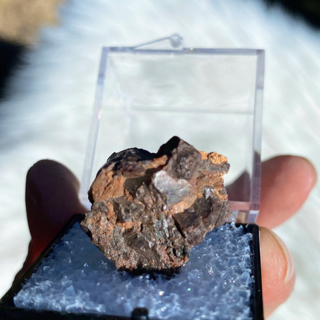 Rare Collectors Unpolished Zircon in Collectors Box - Earth Family Crystals