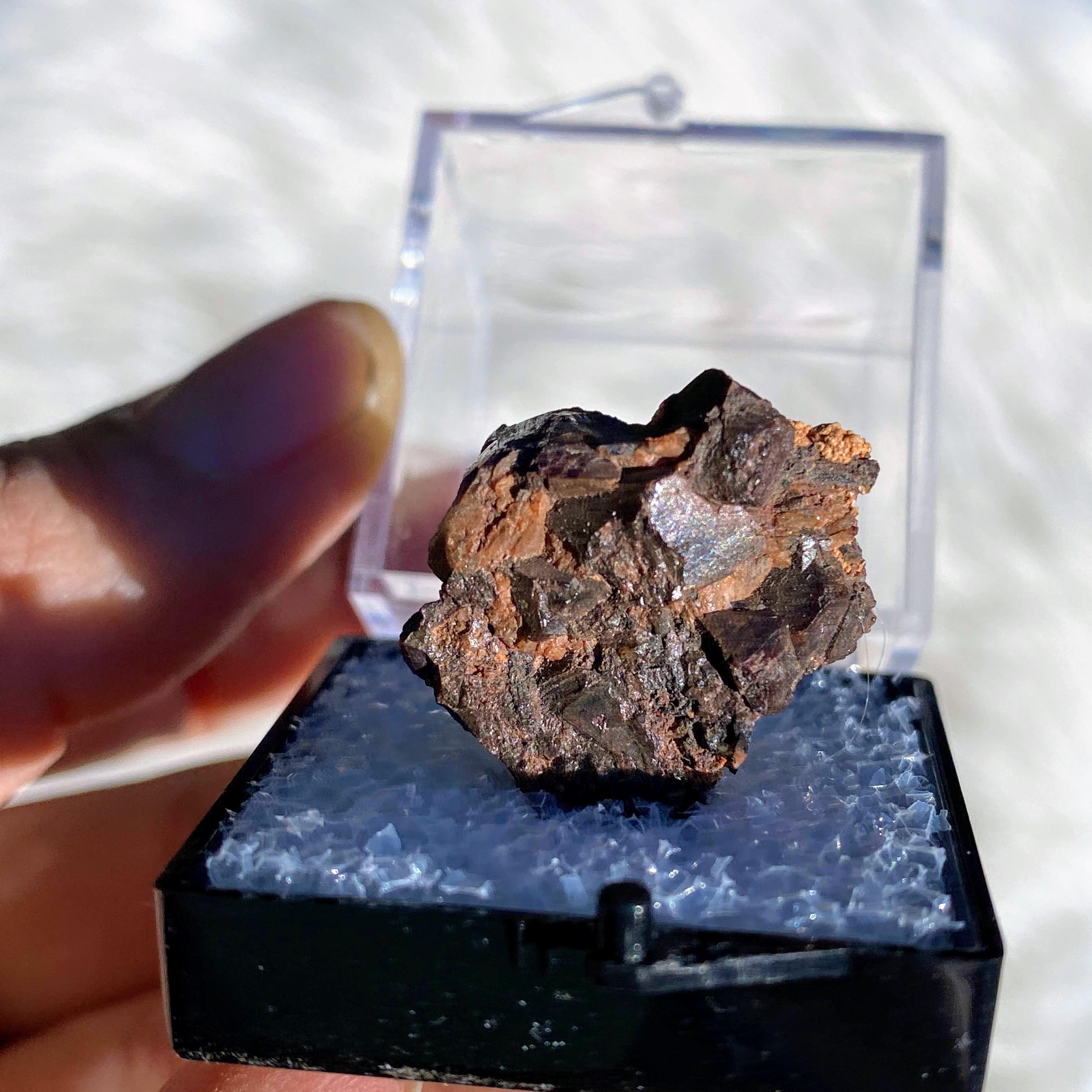 Rare Collectors Unpolished Zircon in Collectors Box - Earth Family Crystals