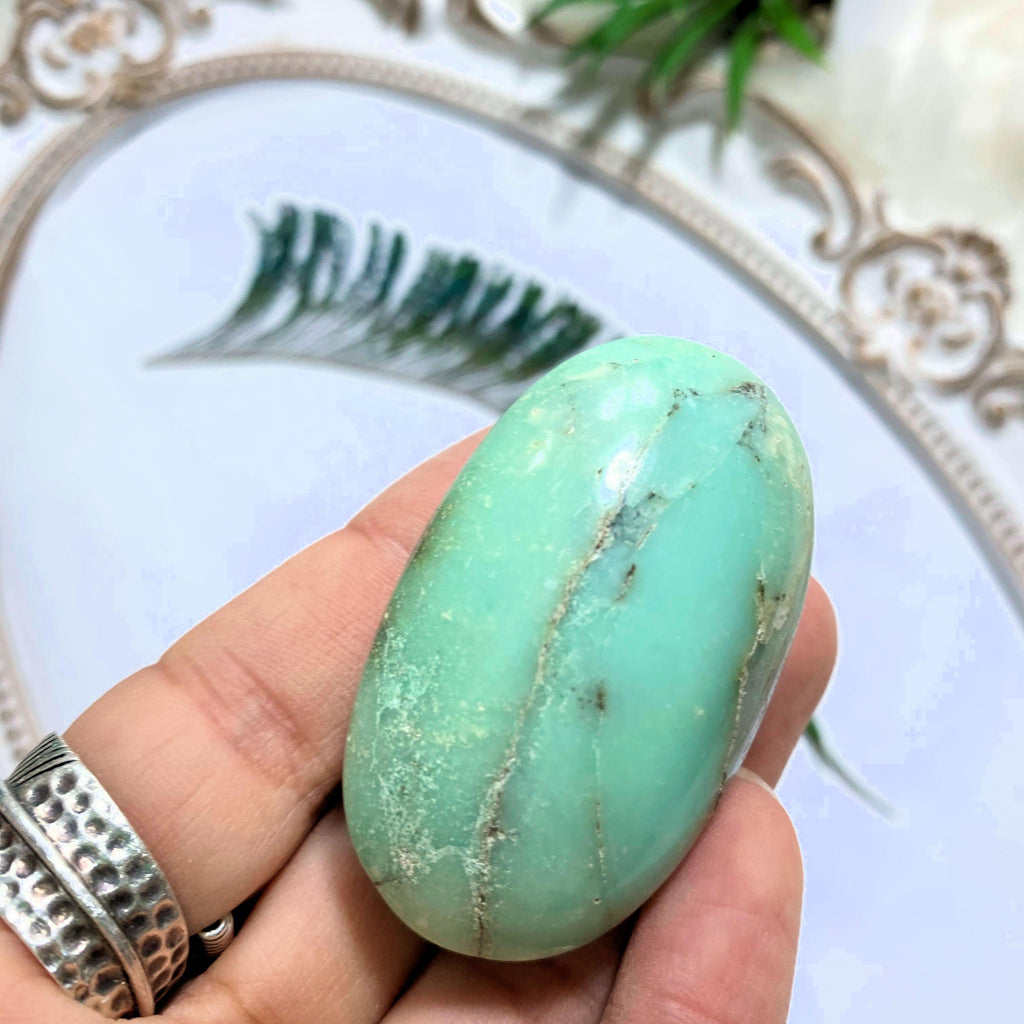 Smooth Chrysoprase Palm Stone - Earth Family Crystals