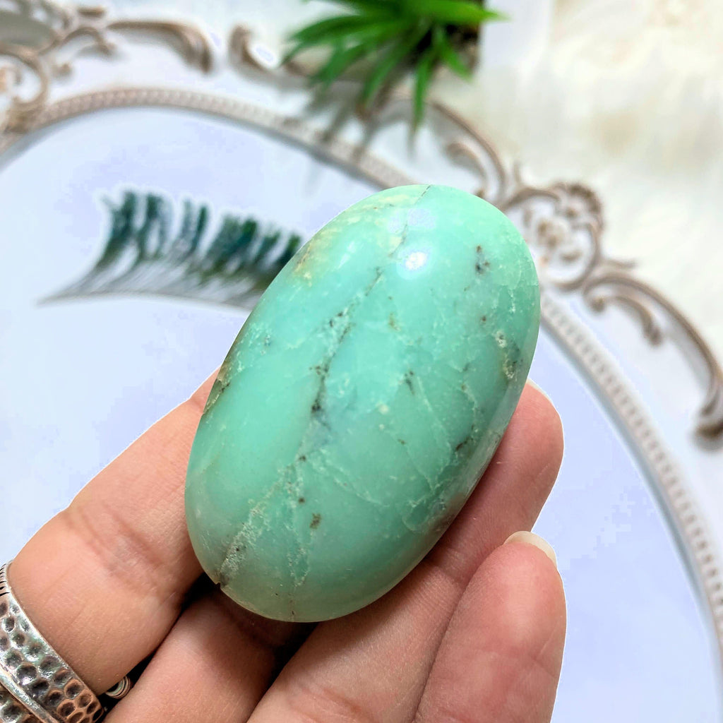 Smooth Chrysoprase Palm Stone - Earth Family Crystals
