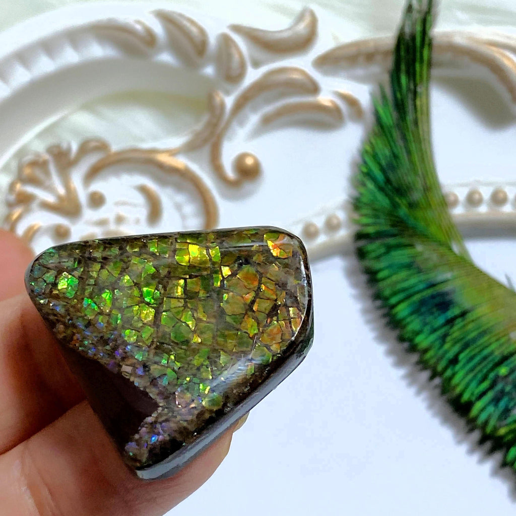 Ammolite Cabochon From Alberta ~Ideal for Crafting #2 - Earth Family Crystals