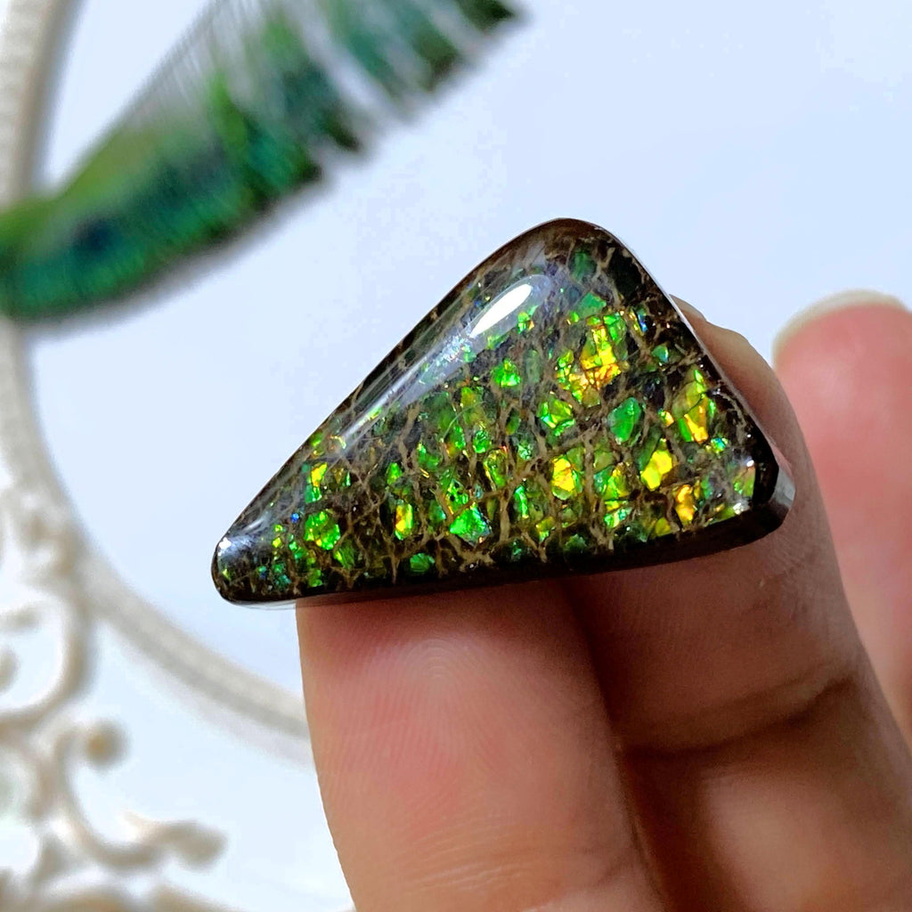Ammolite Cabochon From Alberta ~Ideal for Crafting #3 - Earth Family Crystals