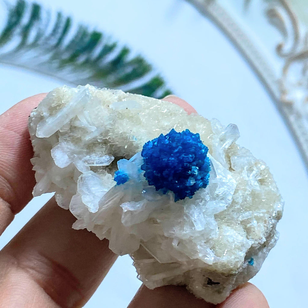 AA Grade Collectors Cavansite Crystal On Sparkly Stilbite Matrix From India - Earth Family Crystals