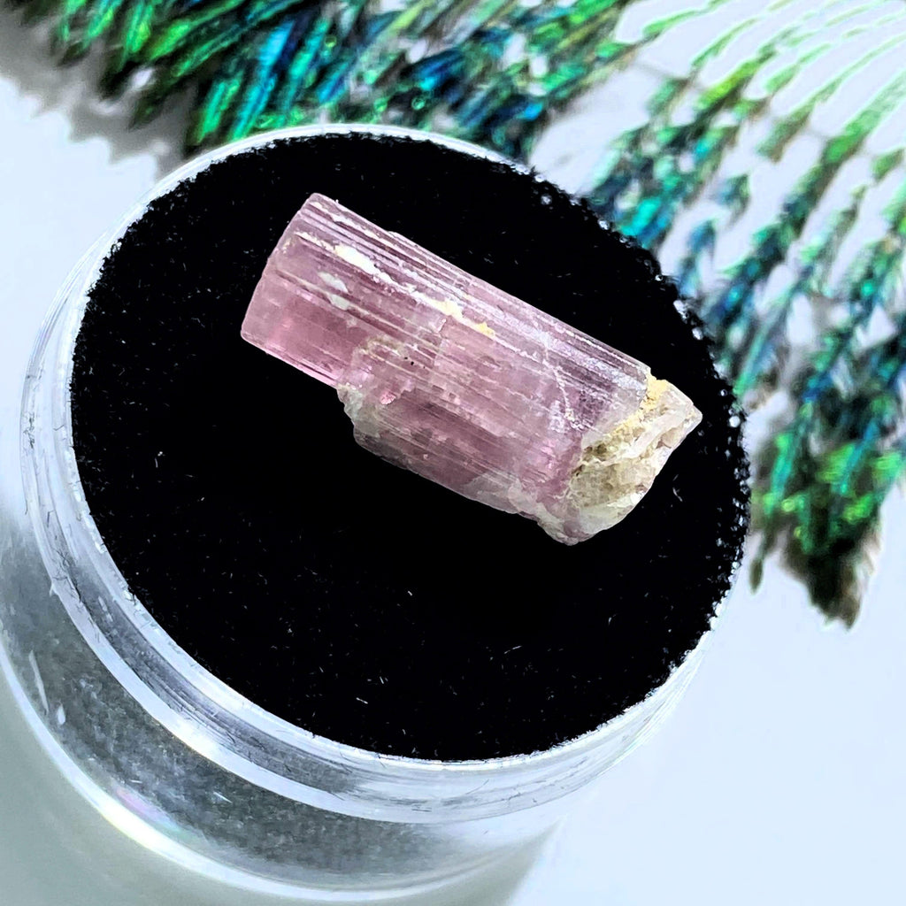Natural Pink Tourmaline in Collectors Box~ Locality Minas Gerais, Brazil - Earth Family Crystals