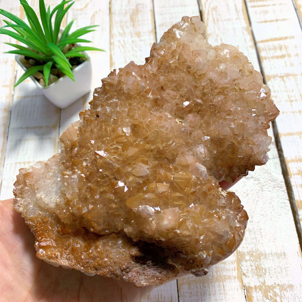 Brilliant Orange River Large Quartz Cluster From South Africa - Earth Family Crystals