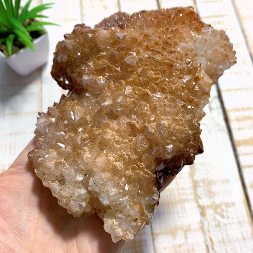 Brilliant Orange River Large Quartz Cluster From South Africa - Earth Family Crystals