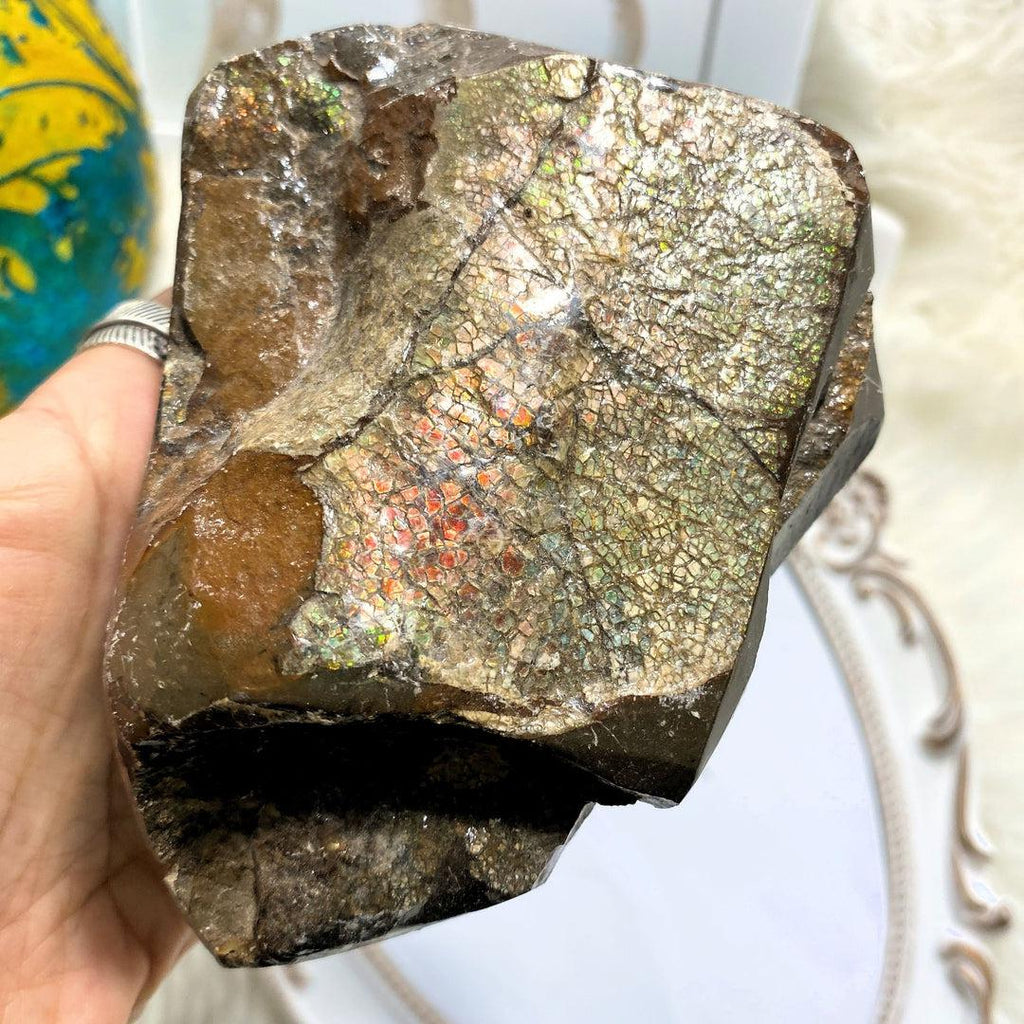 Big Chunky Ammolite Free Form Standing Fossil Specimen ~Locality Alberta, Canada - Earth Family Crystals