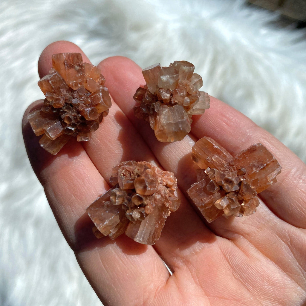 Set of 4~Orange Star Aragonite Chunky Natural Specimens - Earth Family Crystals