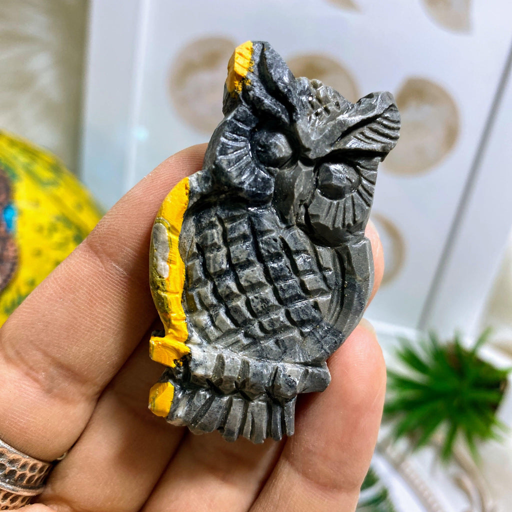 Adorable Bumble Bee Jasper Medium Owl Carving #1 - Earth Family Crystals