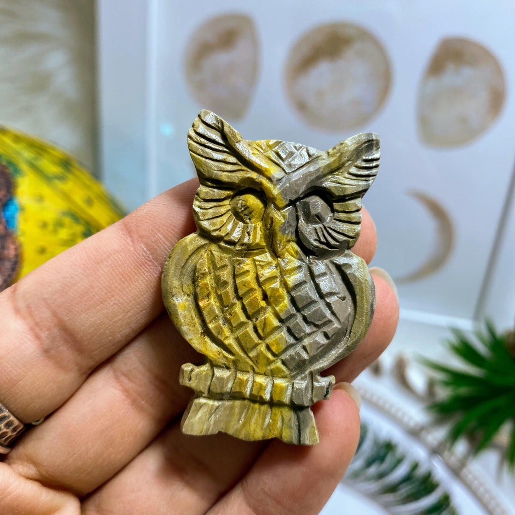 Adorable Bumble Bee Jasper Owl Carving - Earth Family Crystals