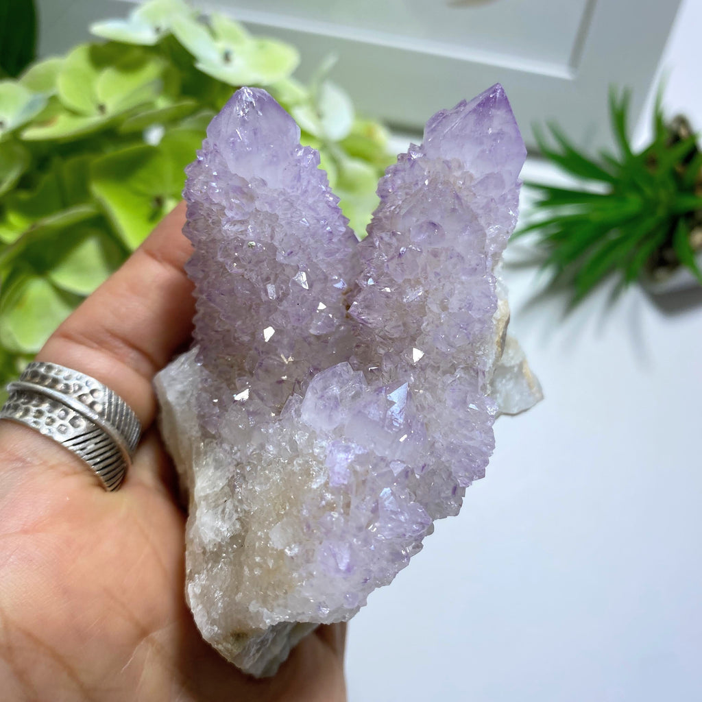 Sparkling Amethyst Spirit Quartz Cluster ~Locality S.Africa - Earth Family Crystals