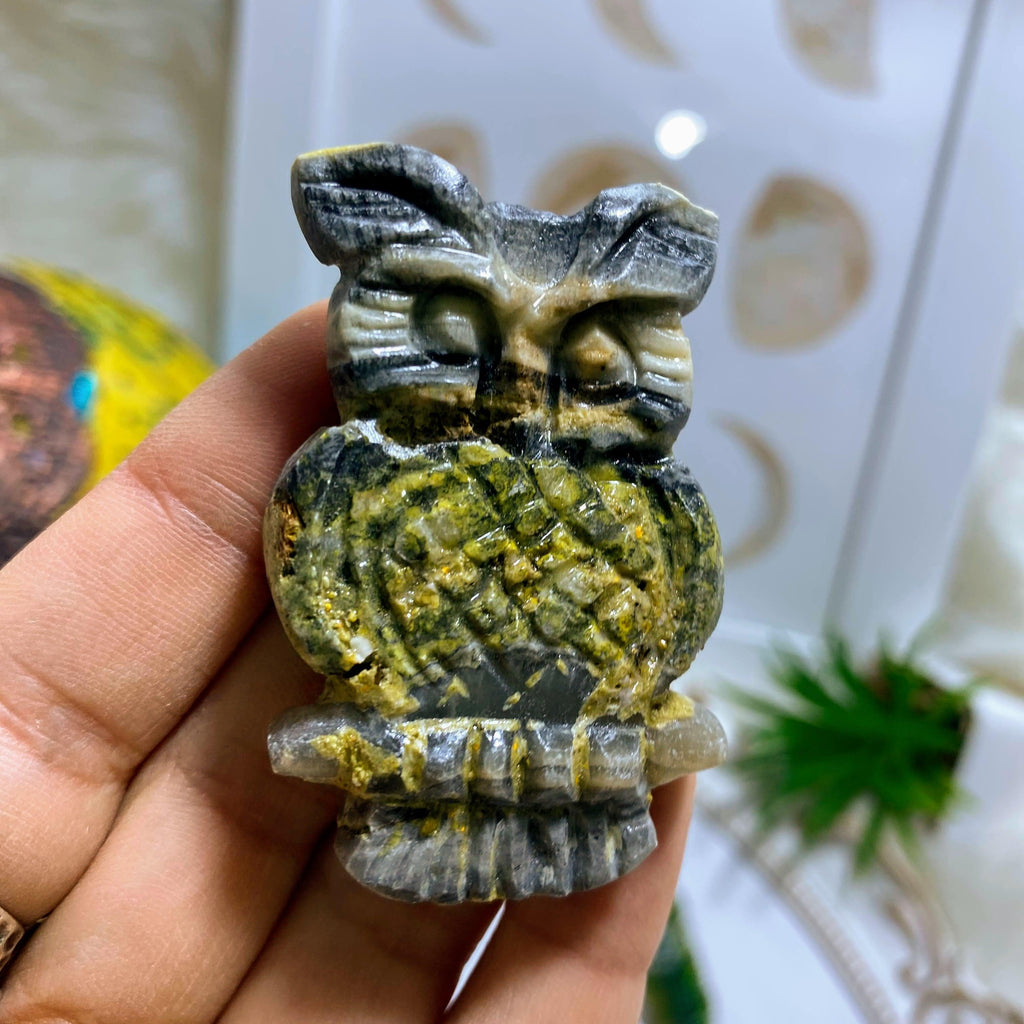 Adorable Bumble Bee Jasper Medium Owl Carving #2 - Earth Family Crystals