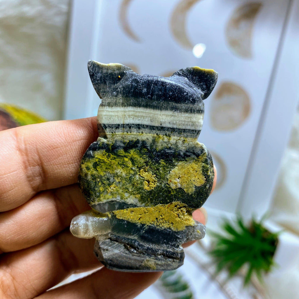 Adorable Bumble Bee Jasper Medium Owl Carving #2 - Earth Family Crystals
