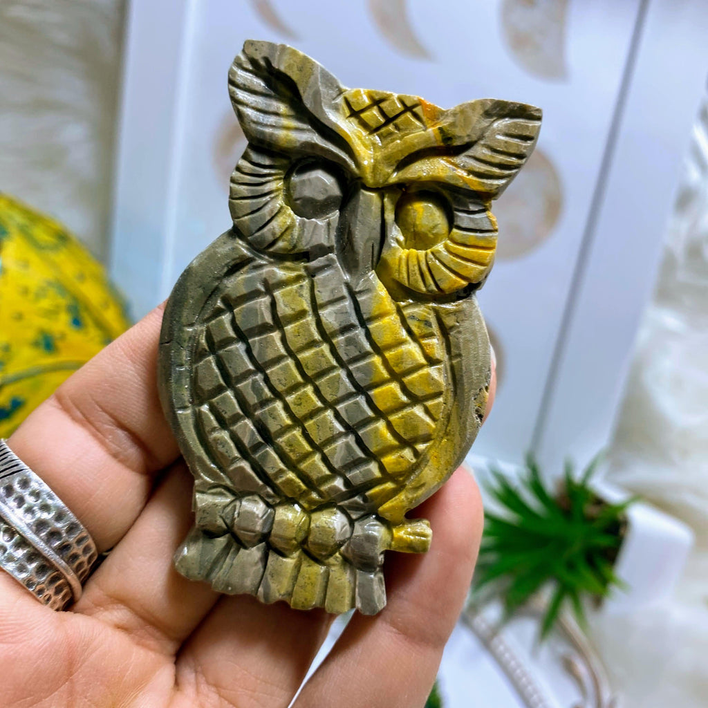 Adorable Bumble Bee Jasper Large Owl Carving - Earth Family Crystals