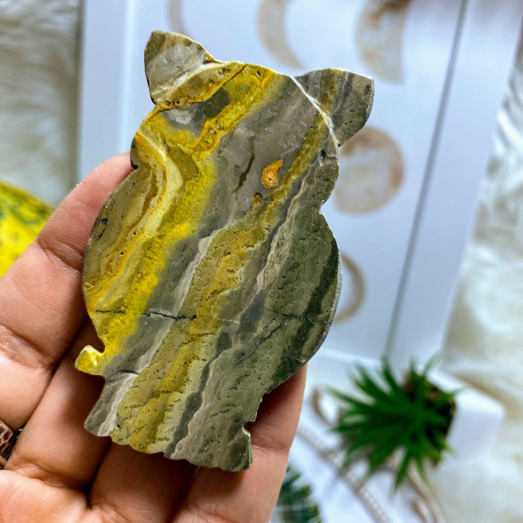 Adorable Bumble Bee Jasper Large Owl Carving - Earth Family Crystals