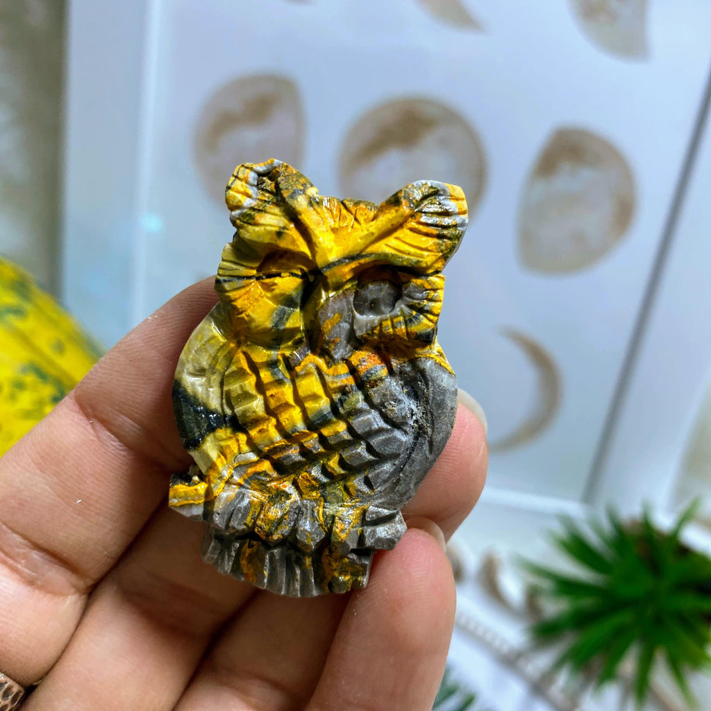 Adorable Bumble Bee Jasper Small Owl Carving *REDUCED - Earth Family Crystals