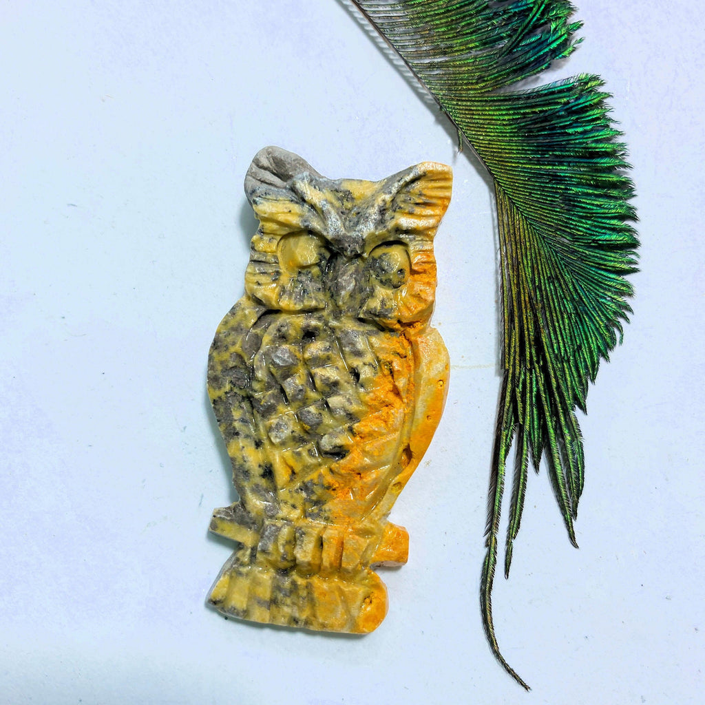 Adorable Bumble Bee Jasper Small Owl Carving - Earth Family Crystals