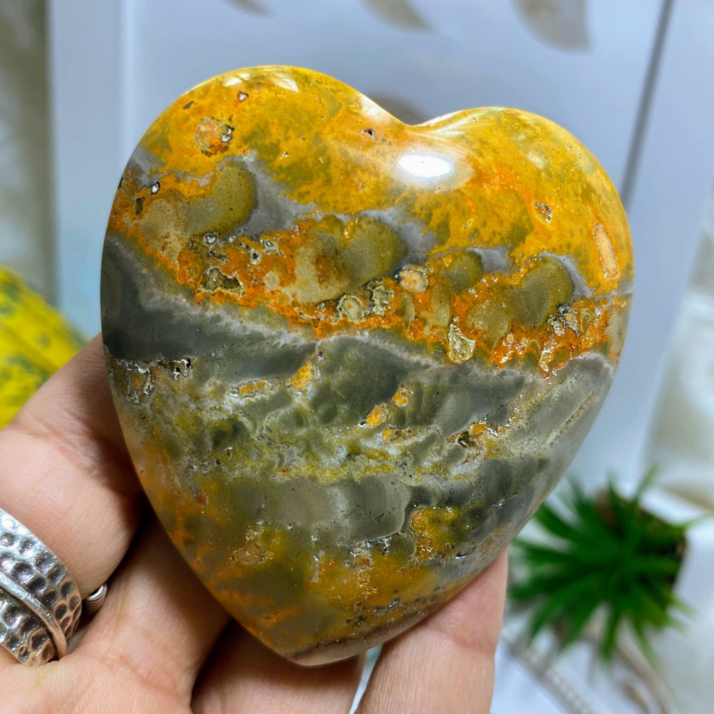 Beautiful Colors Bumble Bee Jasper Large Heart Carving #1 - Earth Family Crystals