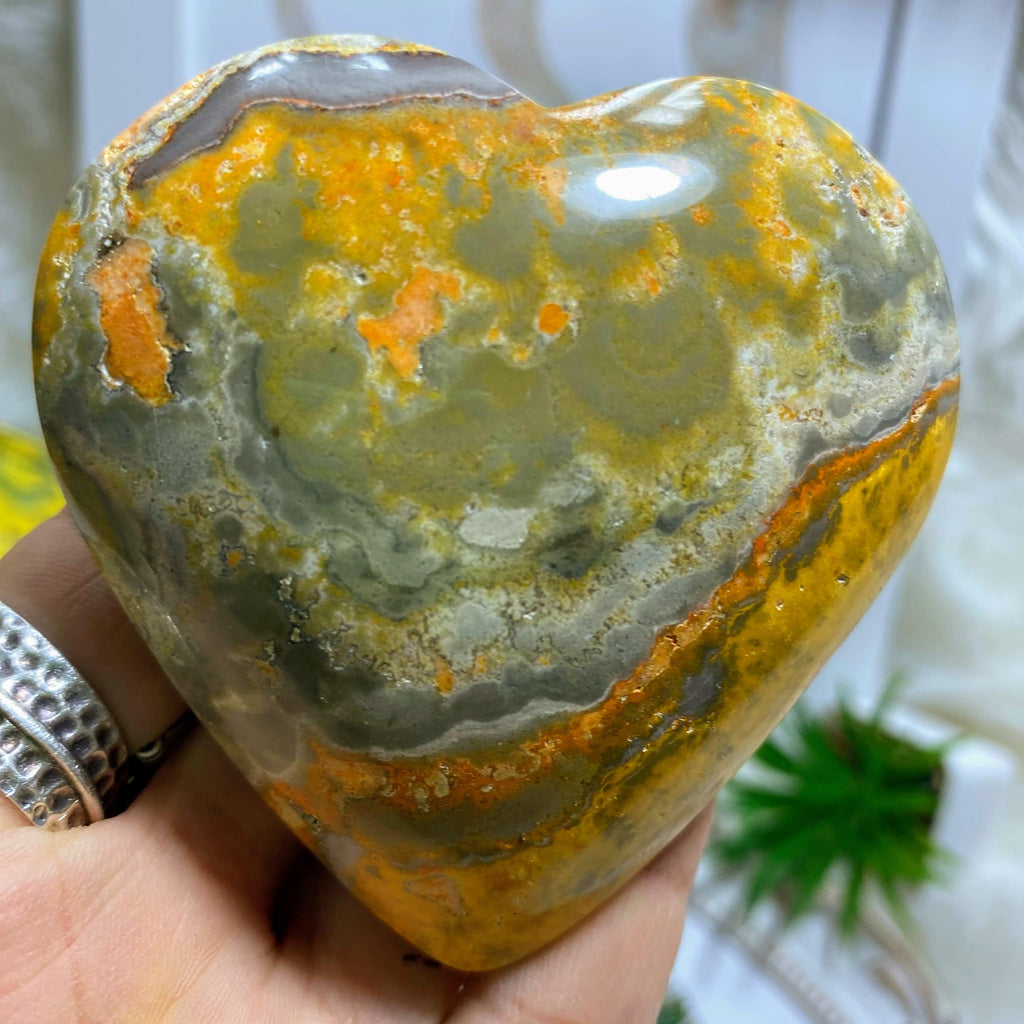 Big Chunky Bumble Bee Jasper XL Heart Carving #3 - Earth Family Crystals