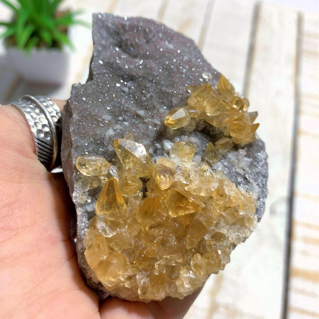 Incredible Beauty! Elmwood Mine Golden Stellar Beam Calcite on Sparkling Matrix - Earth Family Crystals