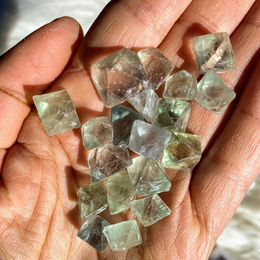 Set of 19 Mini Natural Octahedron Fluorite Specimens - Earth Family Crystals