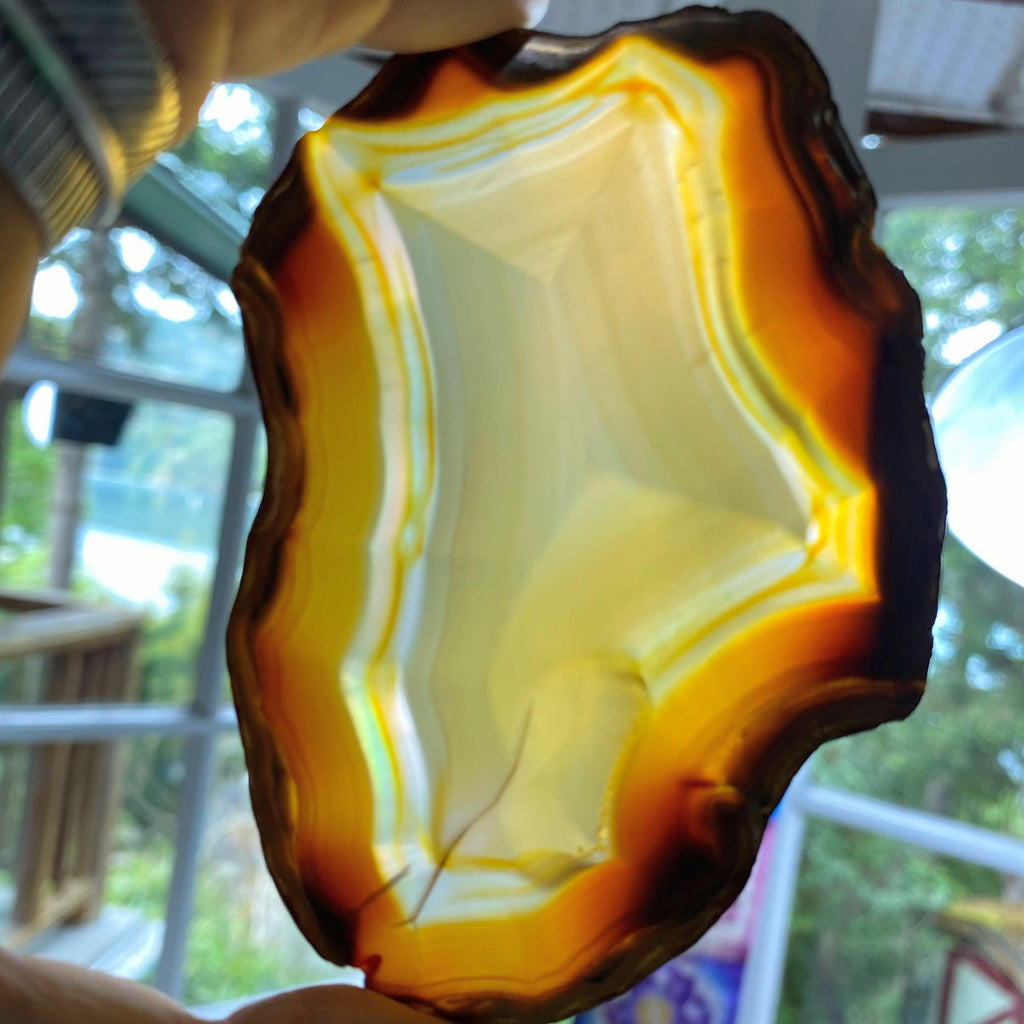 One Iris Rainbow Agate Holographic Slice ~ Locality: Indonesia - Earth Family Crystals