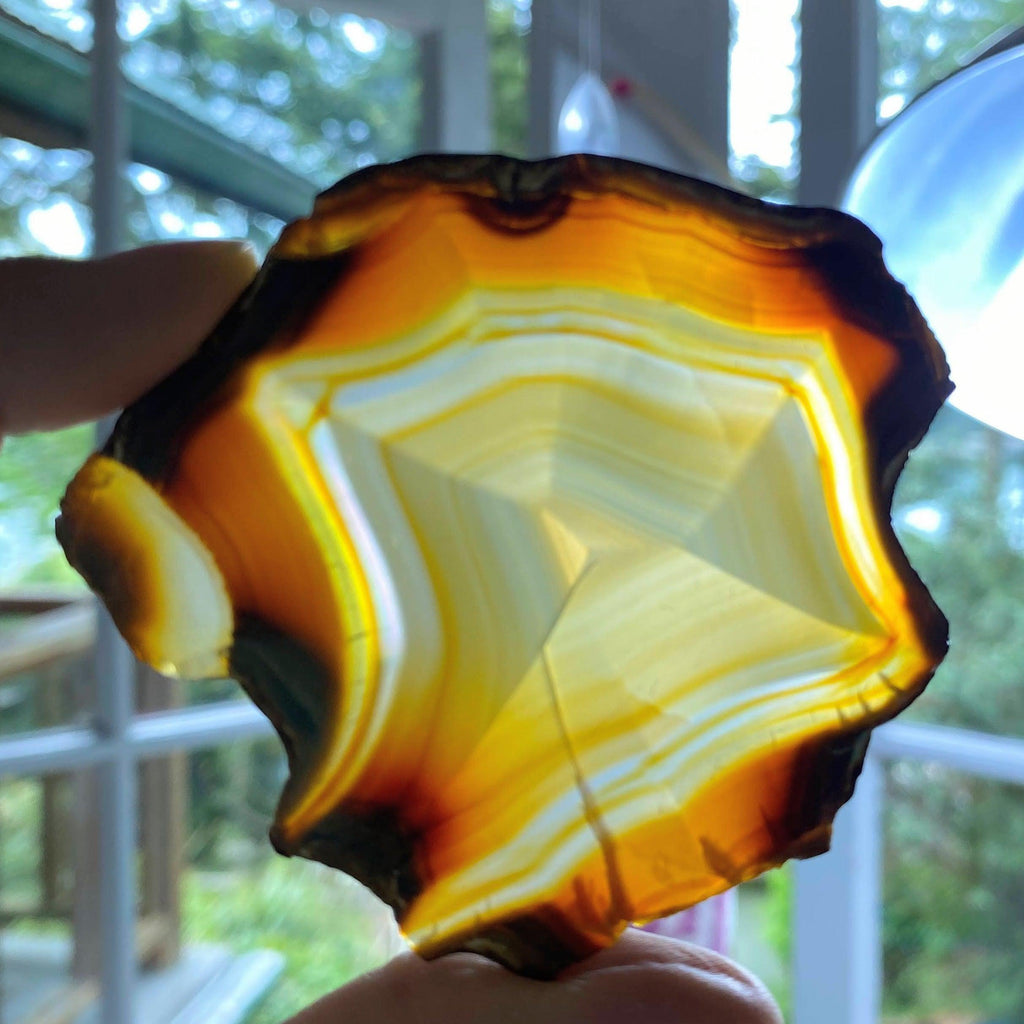 Iris Rainbow Agate Holographic Slice ~ Locality: Indonesia - Earth Family Crystals