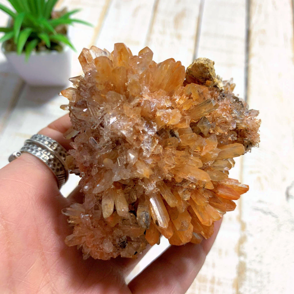 Incredible Rare Large Orange Creedite Specimen~Locality Mexico - Earth Family Crystals
