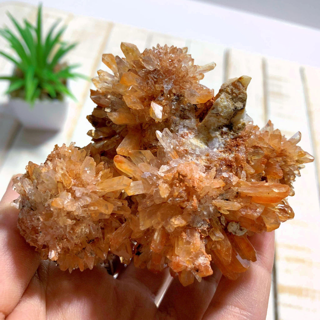Incredible Rare Large Orange Creedite Specimen~Locality Mexico - Earth Family Crystals