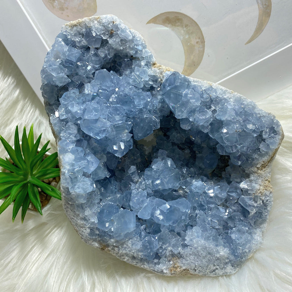2.4KG XXL Celestite Sweet Blue Natural Druzy Display Geode From Madagascar - Earth Family Crystals