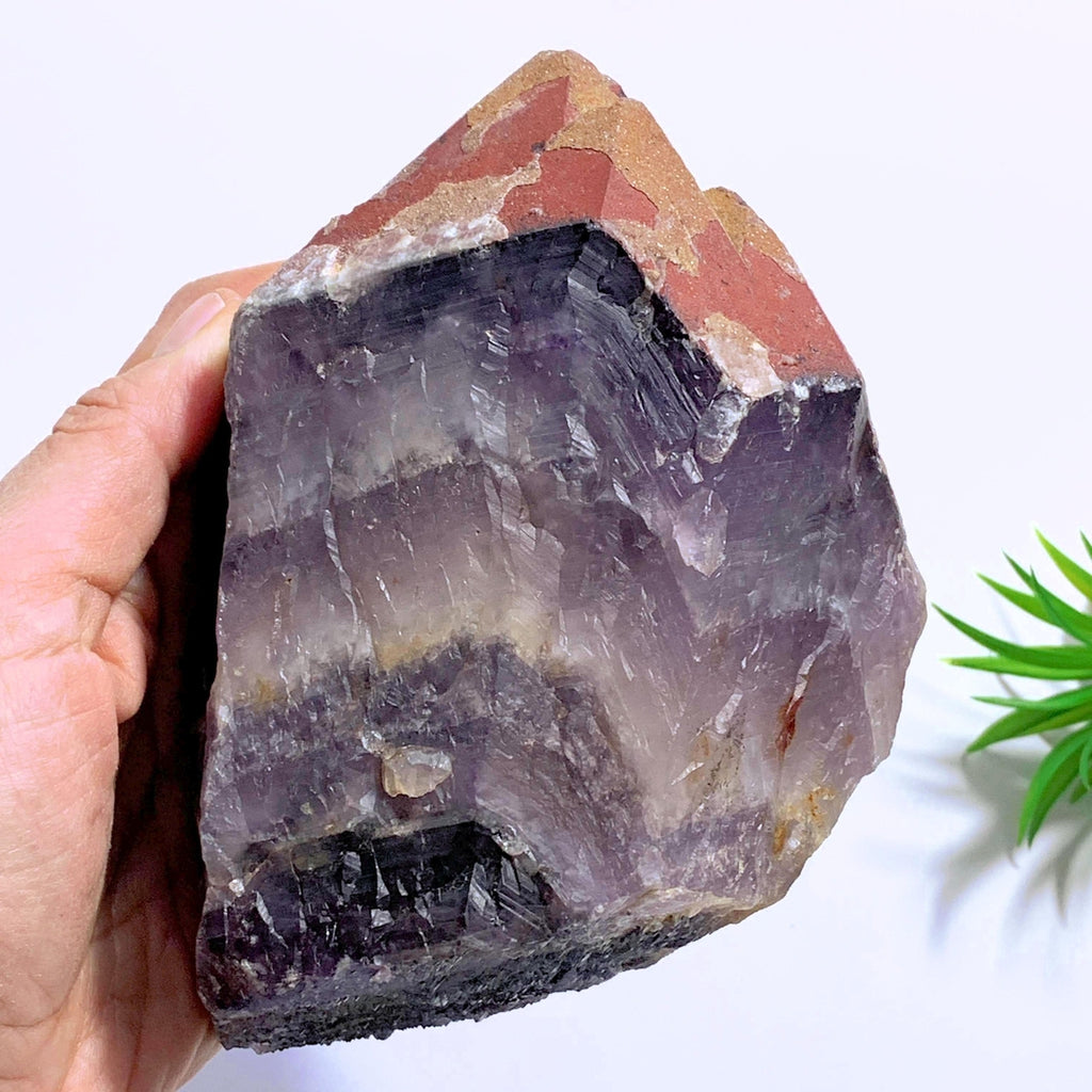 1.3 KG Auralite-23 Standing Point With Red Hematite, Record Keepers, Self Healing & Quartz Druzy From Canada - Earth Family Crystals