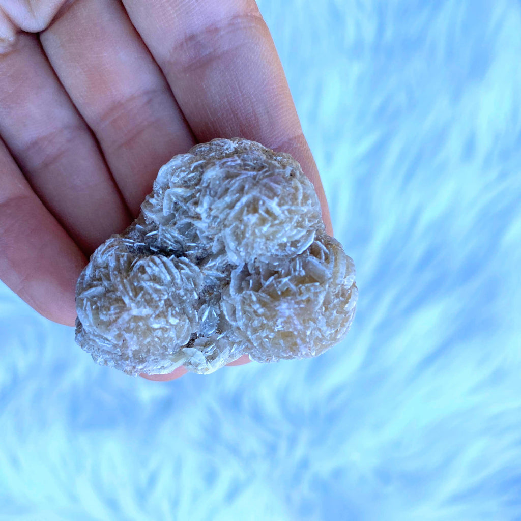 Desert Rose Natural Crystal - Earth Family Crystals