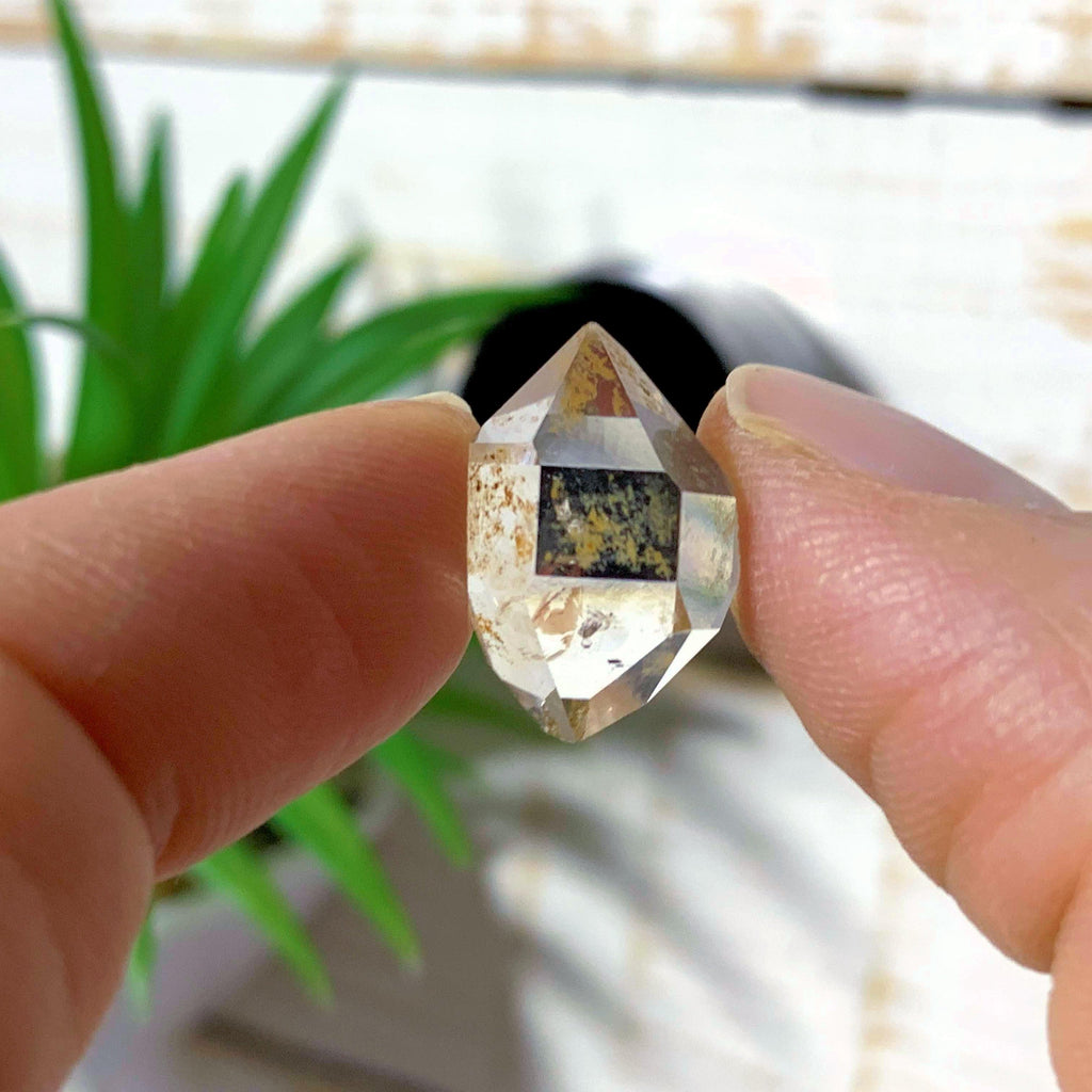 Gemmy Brilliant New York Herkimer Diamond in Collectors Box #1 - Earth Family Crystals