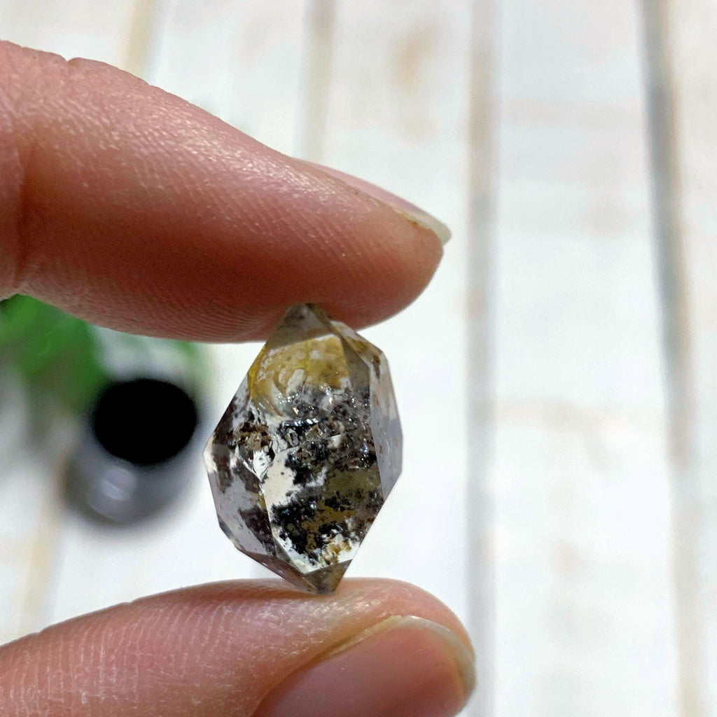 New York Herkimer Diamond with black Anthraxolite inclusions in Collectors Box #2 - Earth Family Crystals