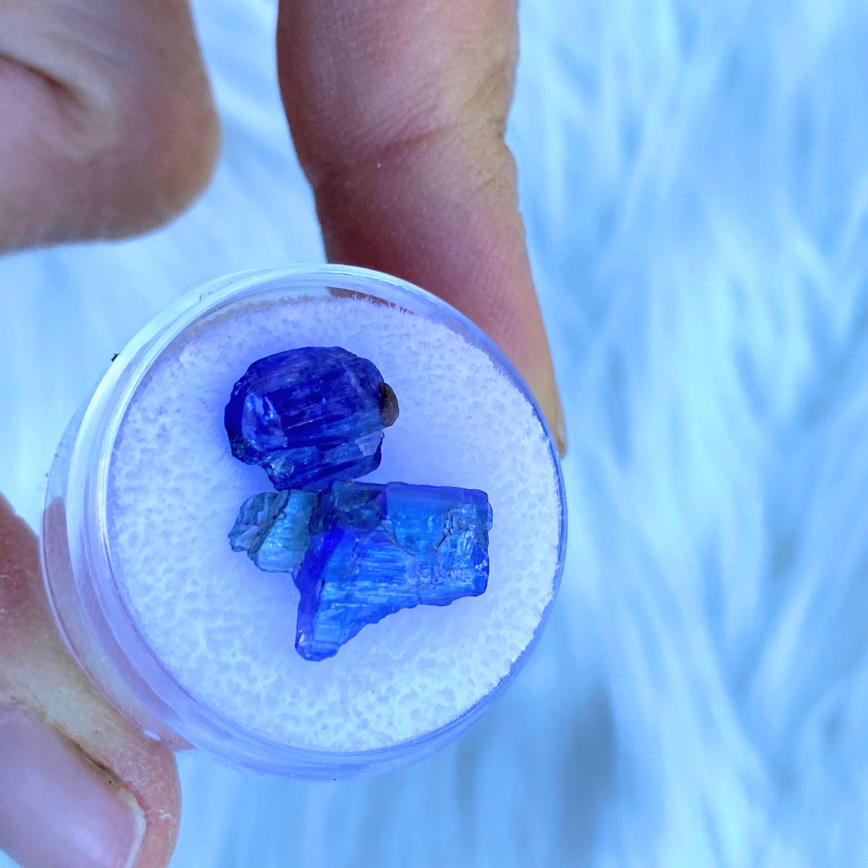 9.0 CT Terminated Gemmy Natural Tanzanite Specimens in Collectors Box - Earth Family Crystals