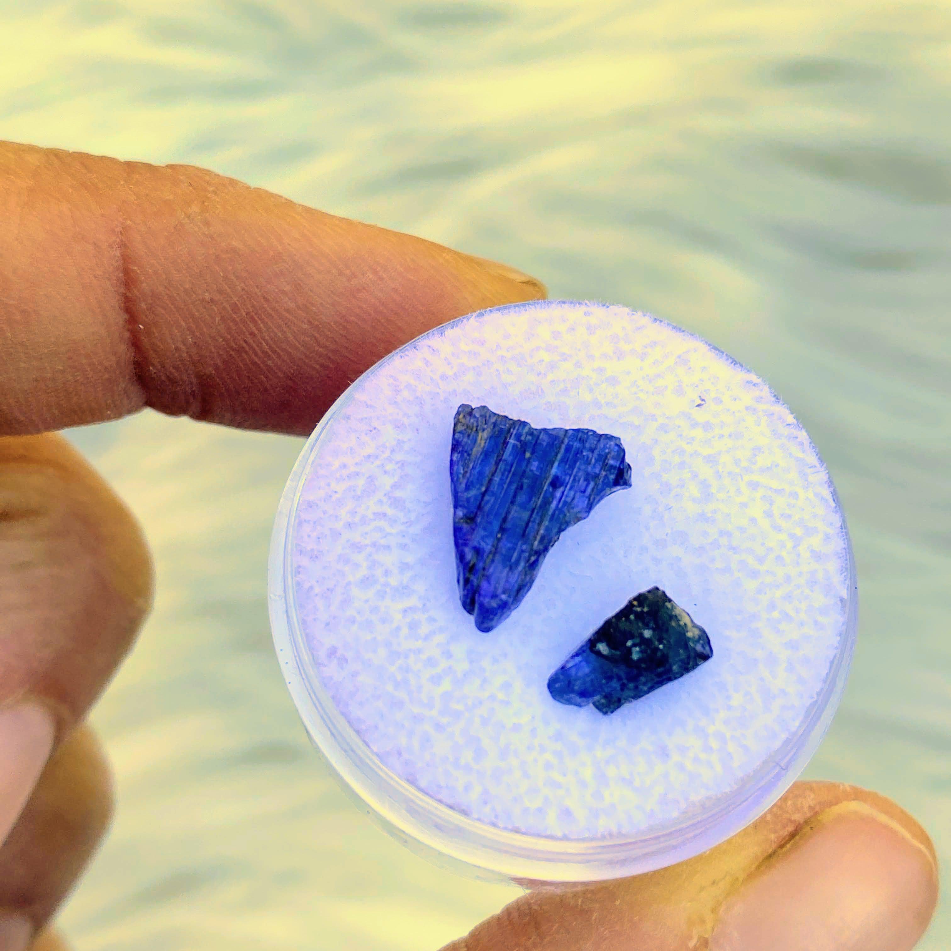 4.0 CT Terminated Gemmy Natural Tanzanite Specimens in Collectors Box - Earth Family Crystals