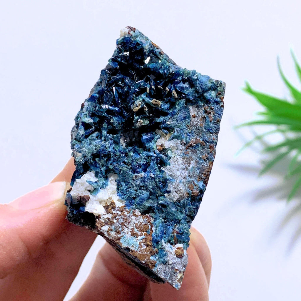 Rare Deep Blue Lazulite Double Sided Crystal Specimen From Rapid Creek, Yukon, Canada #3 - Earth Family Crystals