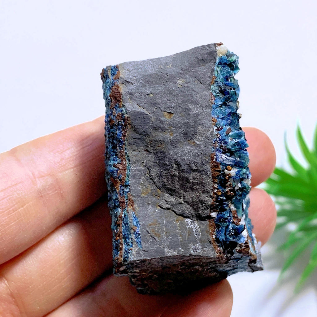 Rare Deep Blue Lazulite Double Sided Crystal Specimen From Rapid Creek, Yukon, Canada #3 - Earth Family Crystals