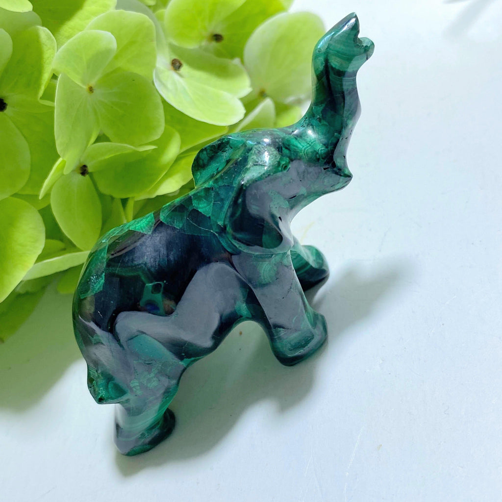 Standing Malachite Elephant Display Carving #1 - Earth Family Crystals